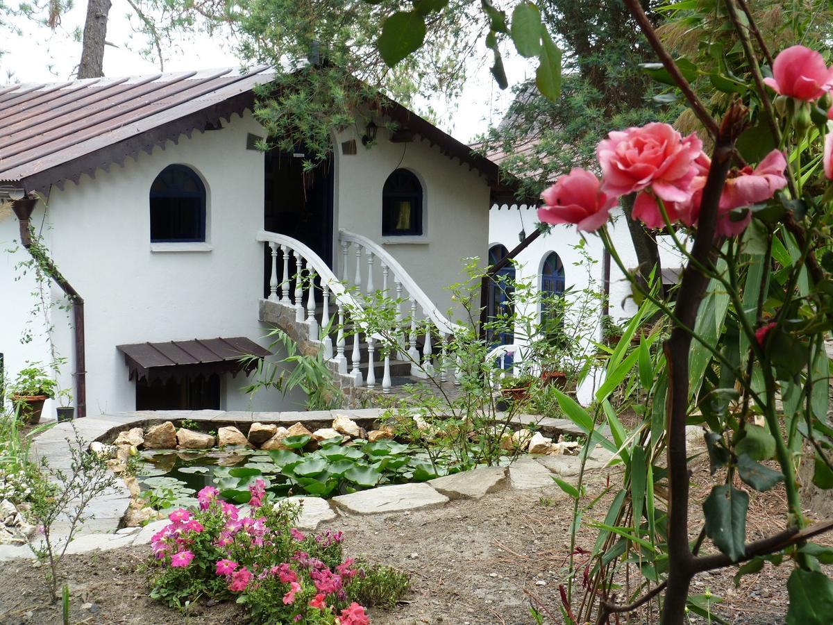 Ayurvaid Kalmatia Almora Exterior photo