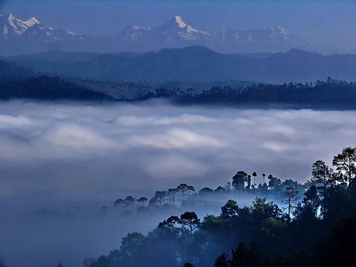 Ayurvaid Kalmatia Almora Exterior photo
