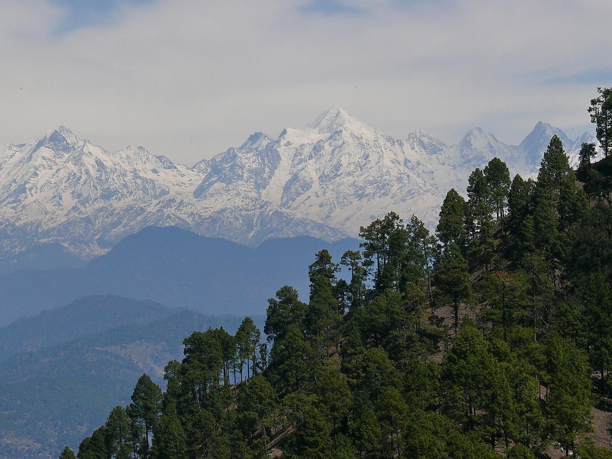 Ayurvaid Kalmatia Almora Exterior photo