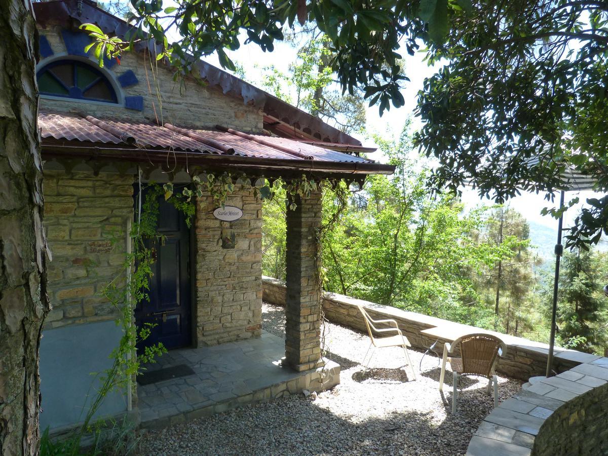Ayurvaid Kalmatia Almora Exterior photo