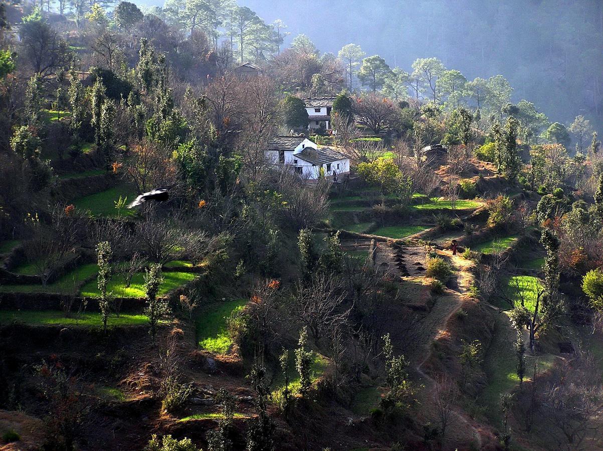 Ayurvaid Kalmatia Almora Exterior photo